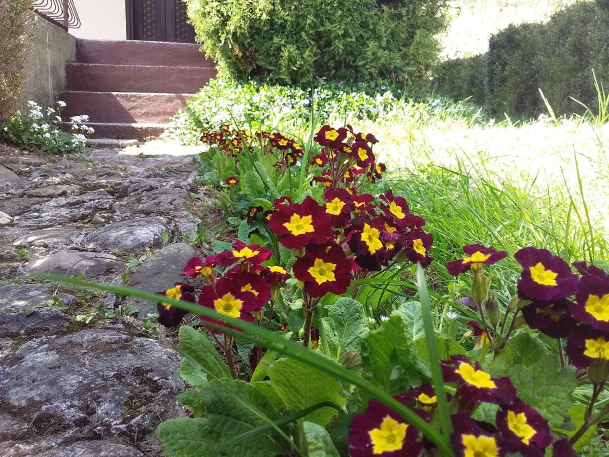 Tammaris Holiday Home Visoko Bagian luar foto